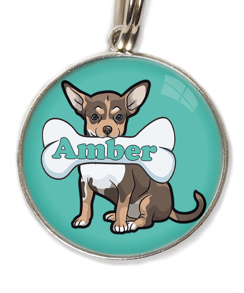 chihuahua-tricolor-chocolate-met-naam-been-huisdierpenning-turquoise