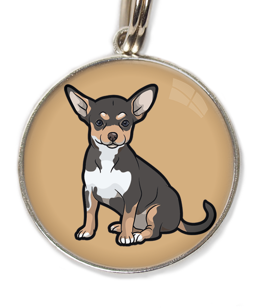 chihuahua-tricolor-zwart-huisdierpenning-beige