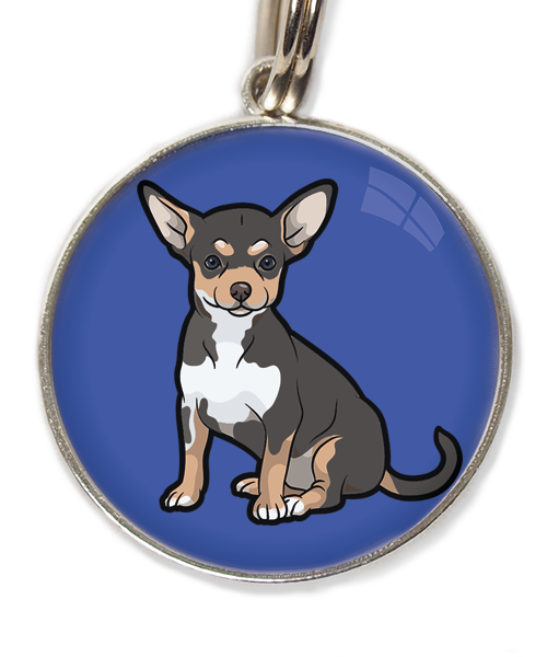 chihuahua-tricolor-zwart-huisdierpenning-blauw