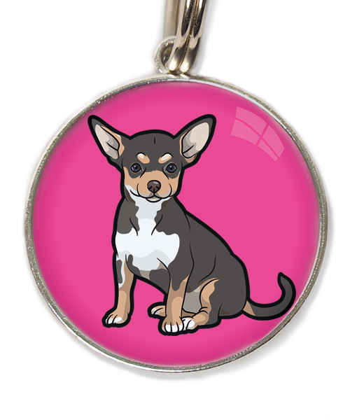 chihuahua-tricolor-zwart-huisdierpenning-fushia