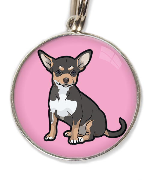 chihuahua-tricolor-zwart-huisdierpenning-lichtroos