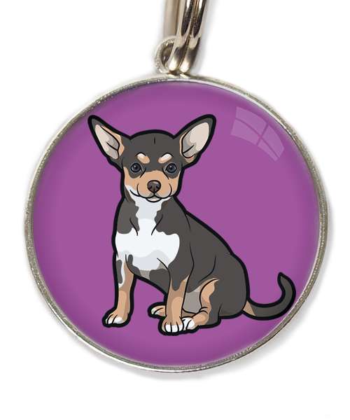 chihuahua-tricolor-zwart-huisdierpenning-lilla