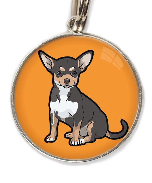 chihuahua-tricolor-zwart-huisdierpenning-oranje