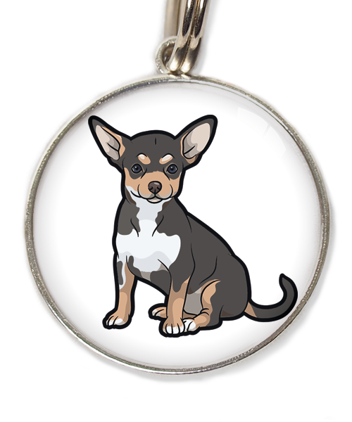 chihuahua-tricolor-zwart-huisdierpenning-wit