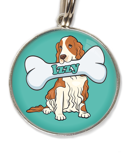 cocker-bruin-wit-met-naam-been-huisdierpenning-turquoise