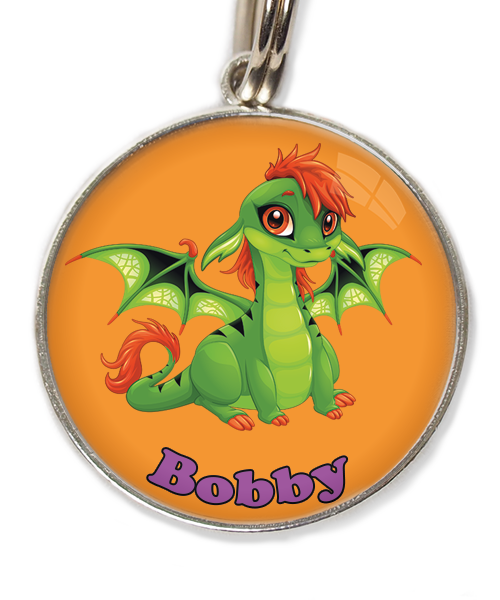 cute-green-dragon-met-naam-los-huisdierpenning-oranje
