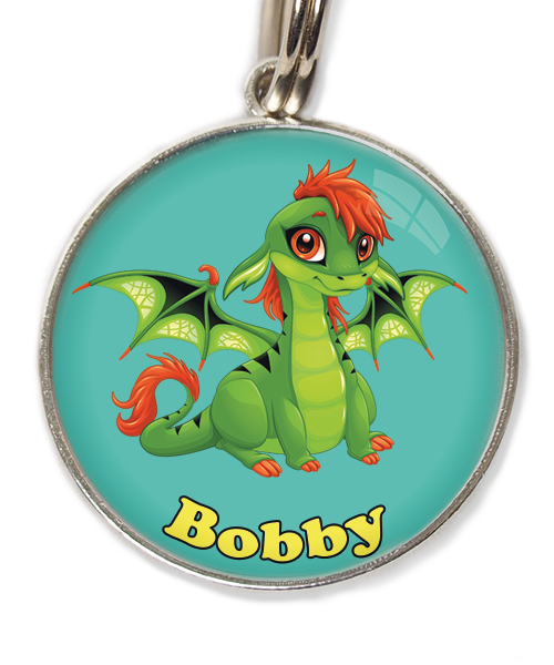 cute-green-dragon-met-naam-los-huisdierpenning-turquoise