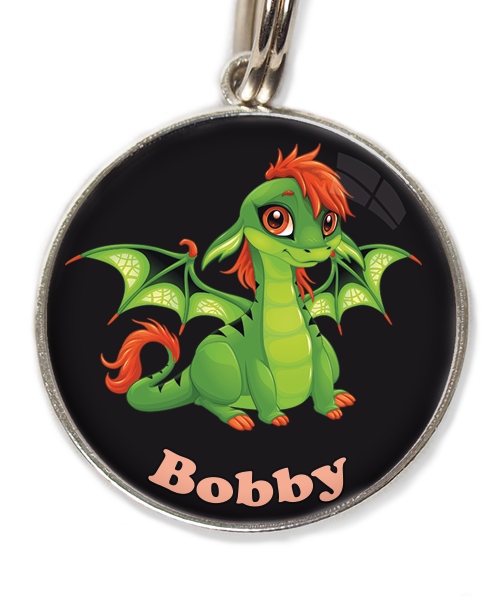 cute-green-dragon-met-naam-los-huisdierpenning-zwart