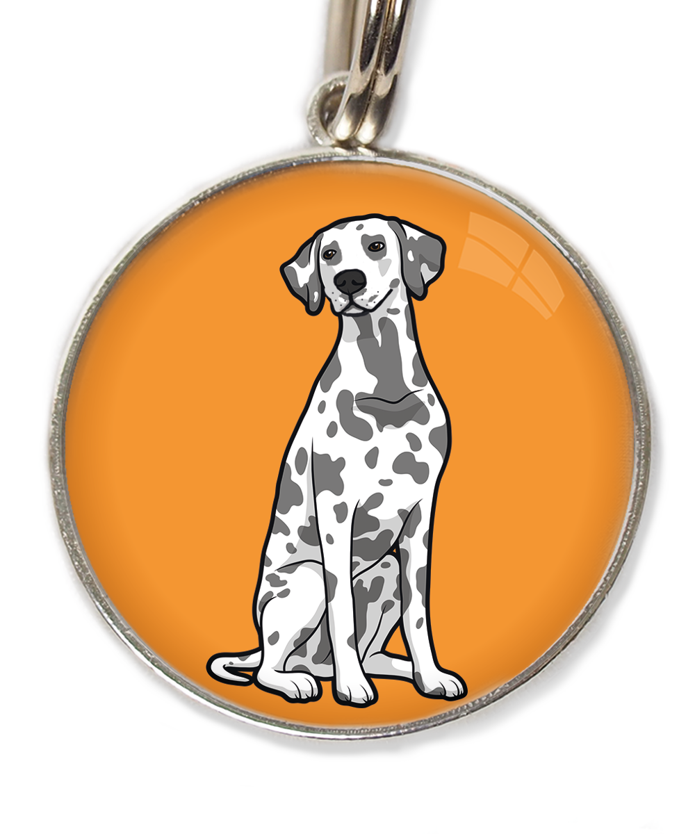 dalmatier-huisdierpenning-oranje