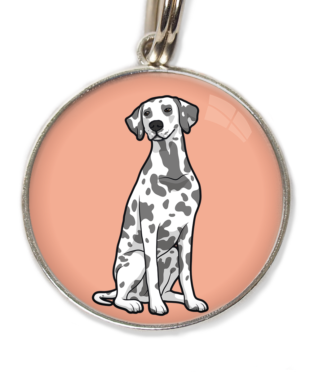dalmatier-huisdierpenning-peach