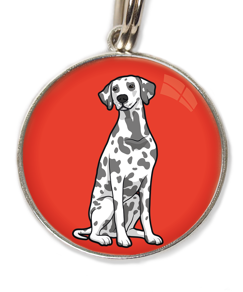 dalmatier-huisdierpenning-rood