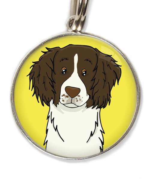 drentse-patrijshond-huisdierpenning-geel