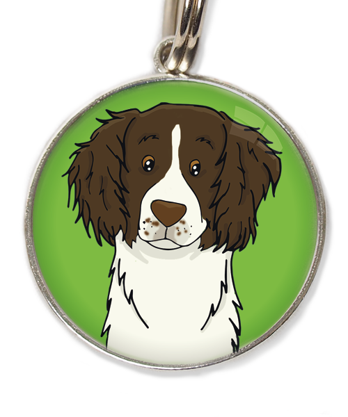 drentse-patrijshond-huisdierpenning-groen