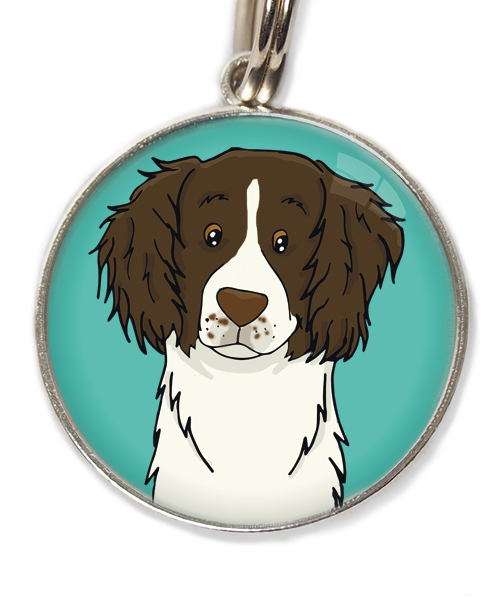 drentse-patrijshond-huisdierpenning-turquoise