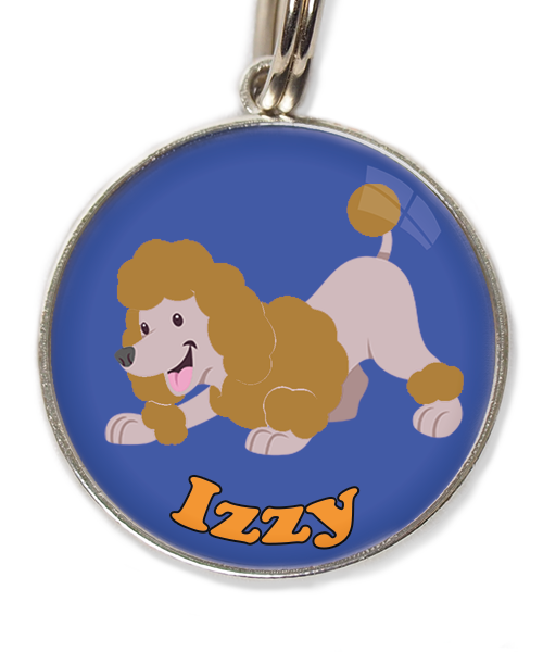 dwergdpoedel-buigend-bruin-met-naam-los-huisdierpenning-blauw