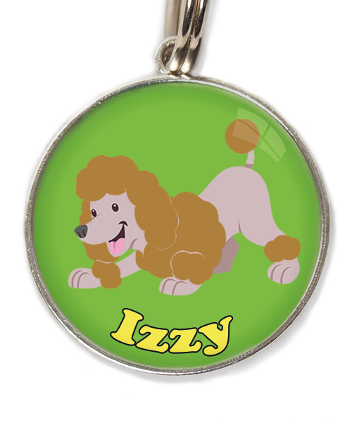 dwergdpoedel-buigend-bruin-met-naam-los-huisdierpenning-groen