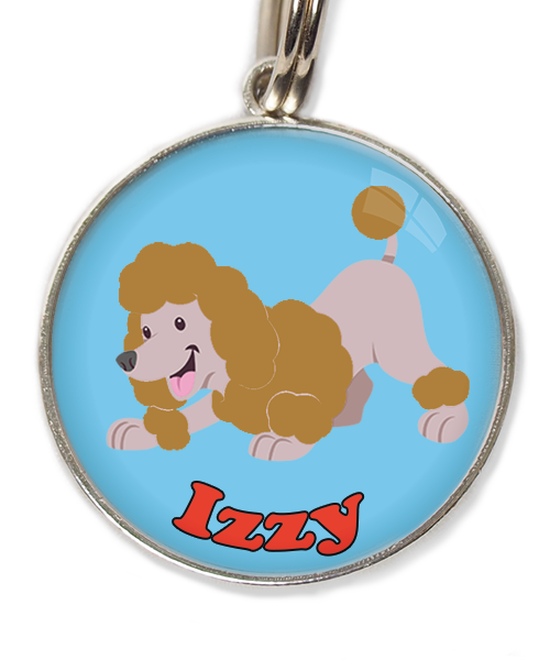 dwergdpoedel-buigend-bruin-met-naam-los-huisdierpenning-lichtblauw