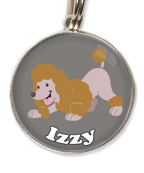 dwergdpoedel-buigend-bruin-met-naam-los-huisdierpenning-lichtgrijs