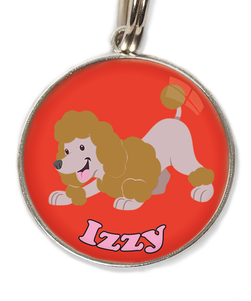 dwergdpoedel-buigend-bruin-met-naam-los-huisdierpenning-rood