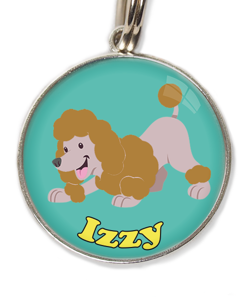 dwergdpoedel-buigend-bruin-met-naam-los-huisdierpenning-turquoise