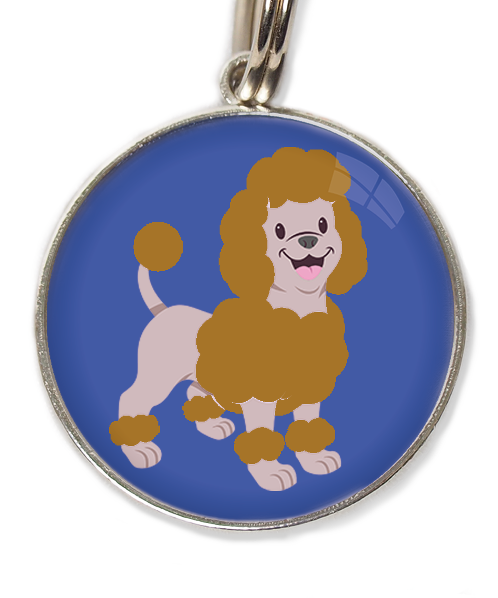 dwergpoedel-bruin-huisdierpenning-blauw