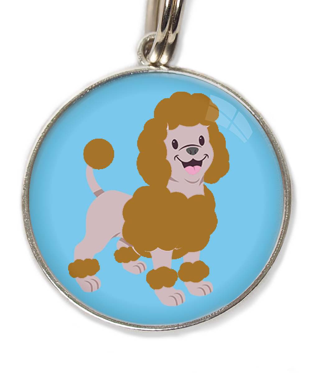 dwergpoedel-bruin-huisdierpenning-lichtblauw