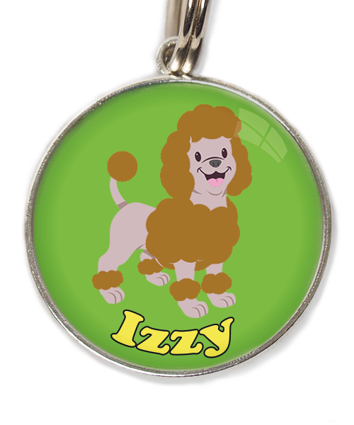 dwergpoedel-bruin-met-naam-los-huisdierpenning-groen