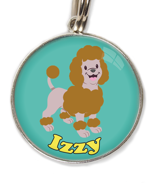 dwergpoedel-bruin-met-naam-los-huisdierpenning-turquoise