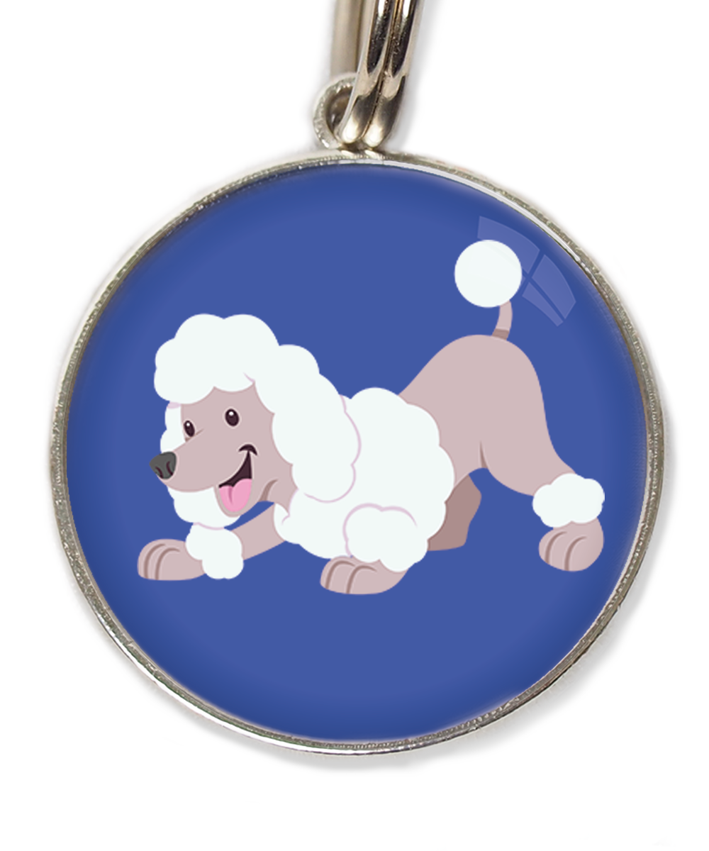 dwergpoedel-buigend-wit-huisdierpenning-blauw