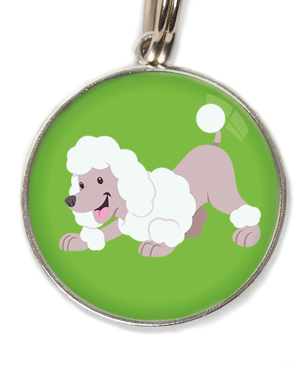 dwergpoedel-buigend-wit-huisdierpenning-groen