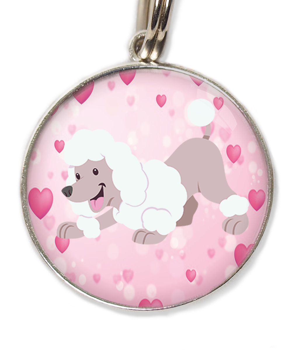 dwergpoedel-buigend-wit-huisdierpenning-hartjes