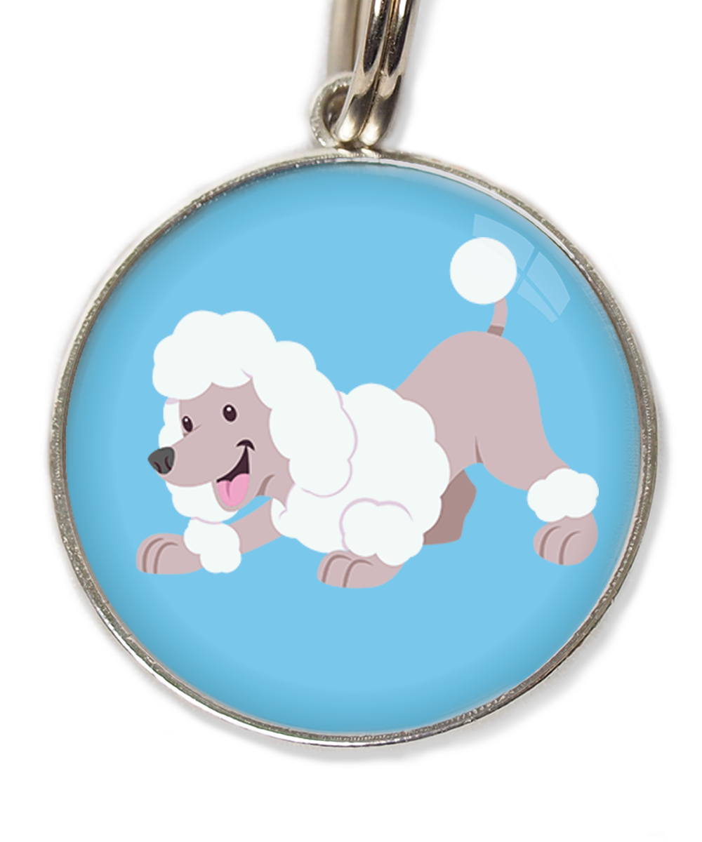 dwergpoedel-buigend-wit-huisdierpenning-lichtblauw