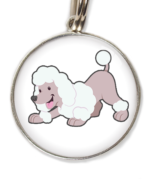 dwergpoedel-buigend-wit-huisdierpenning-wit