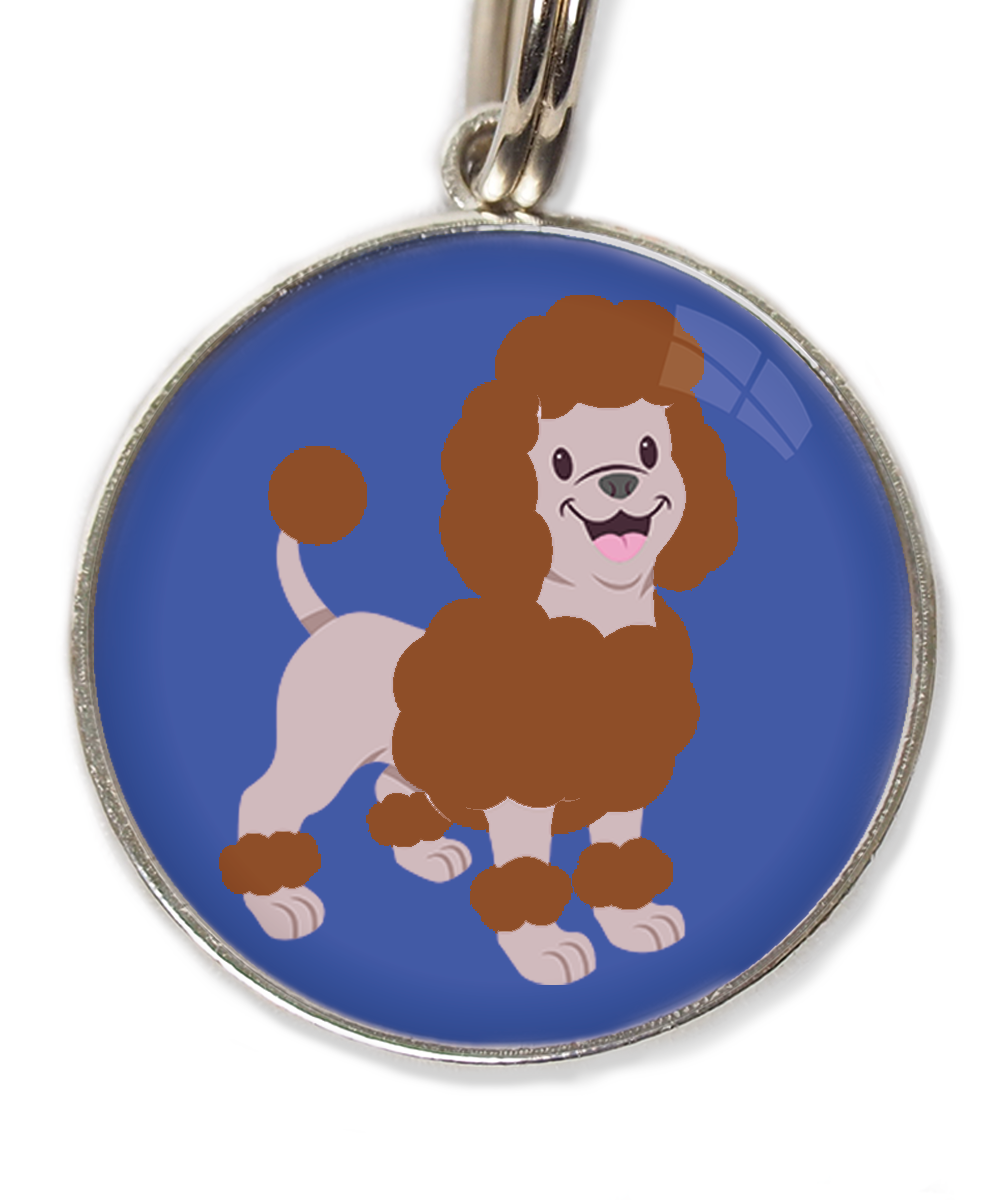 dwergpoedel-chocolade-huisdierpenning-blauw