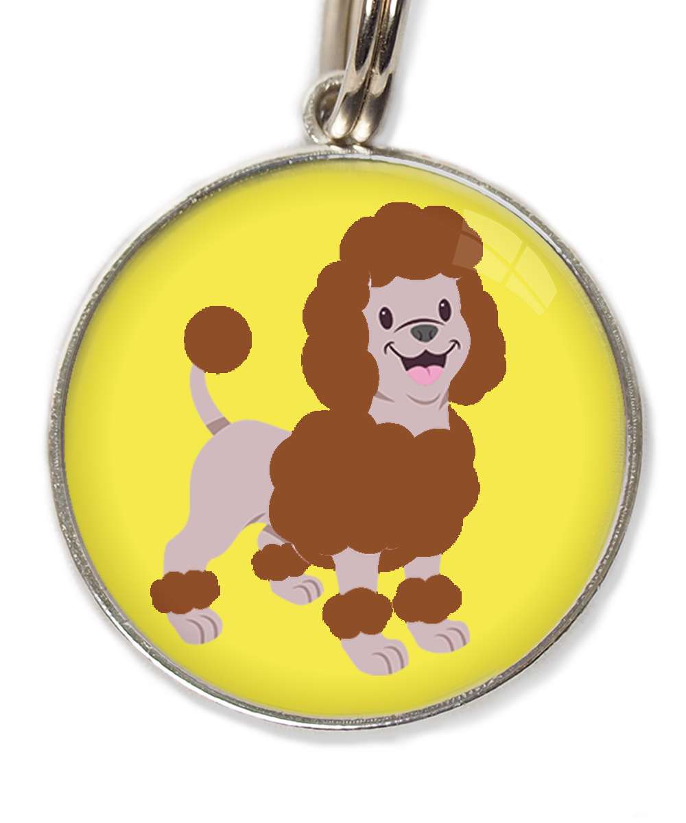 dwergpoedel-chocolade-huisdierpenning-geel