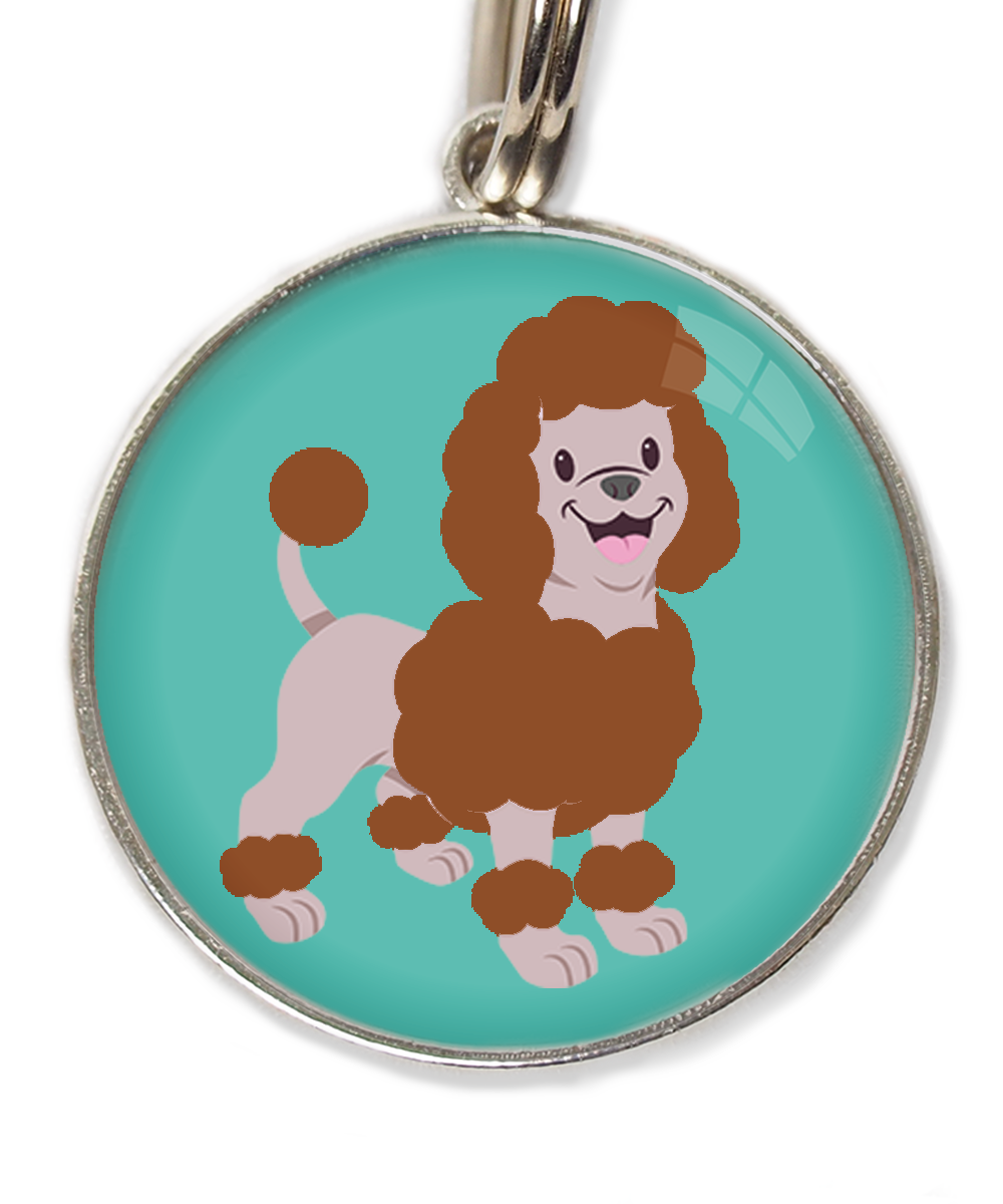 dwergpoedel-chocolade-huisdierpenning-turquoise