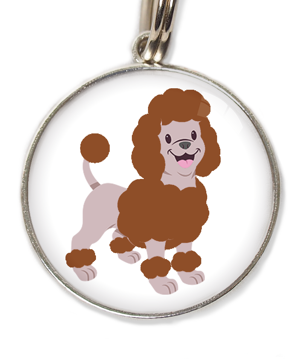 dwergpoedel-chocolade-huisdierpenning-wit