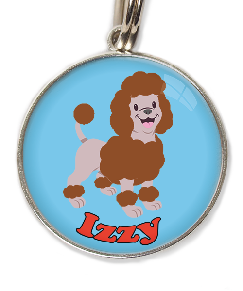 dwergpoedel-chocolade-met-naam-los-huisdierpenning-lichtblauw