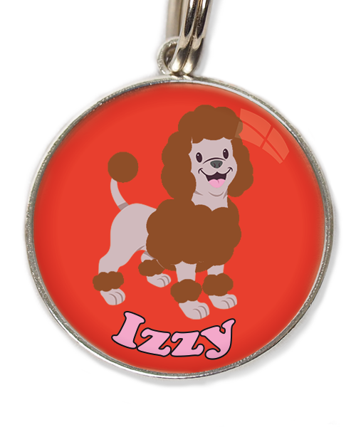 dwergpoedel-chocolade-met-naam-los-huisdierpenning-rood