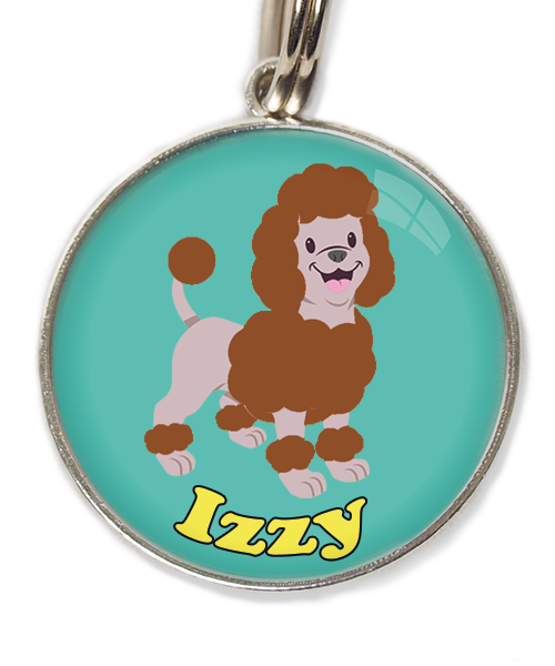 dwergpoedel-chocolade-met-naam-los-huisdierpenning-turquoise