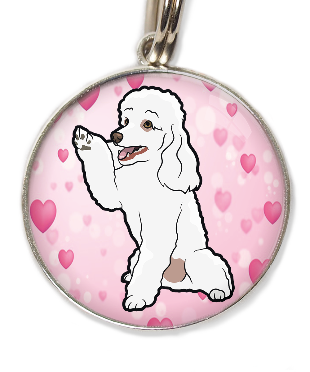 dwergpoedel-wit-geeft-pootje-huisdierpenning-hartjes