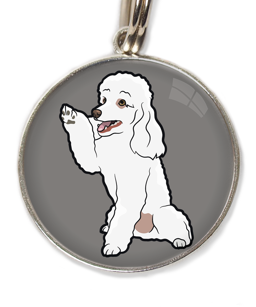 dwergpoedel-wit-geeft-pootje-huisdierpenning-lichtgrijs