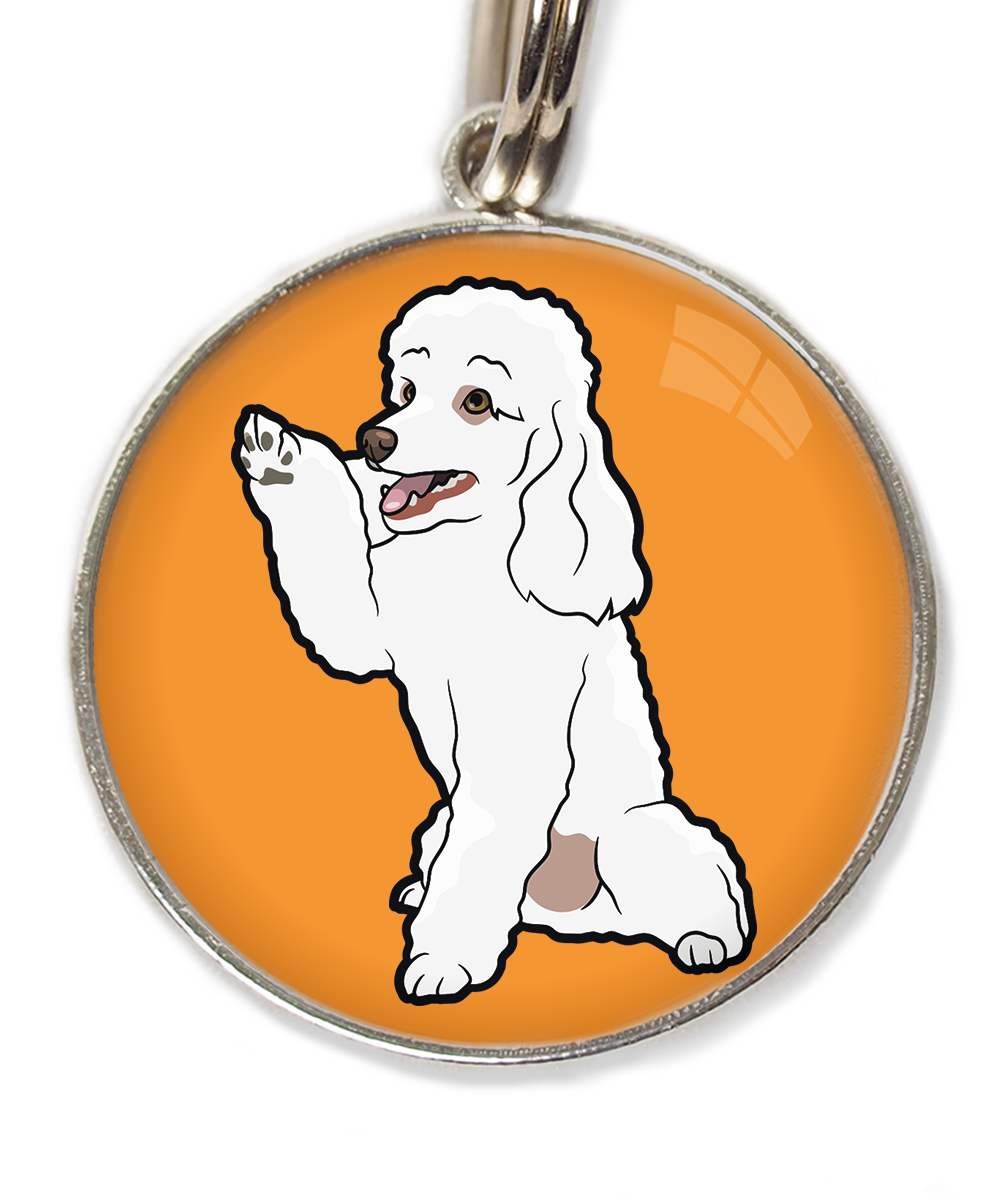 dwergpoedel-wit-geeft-pootje-huisdierpenning-oranje