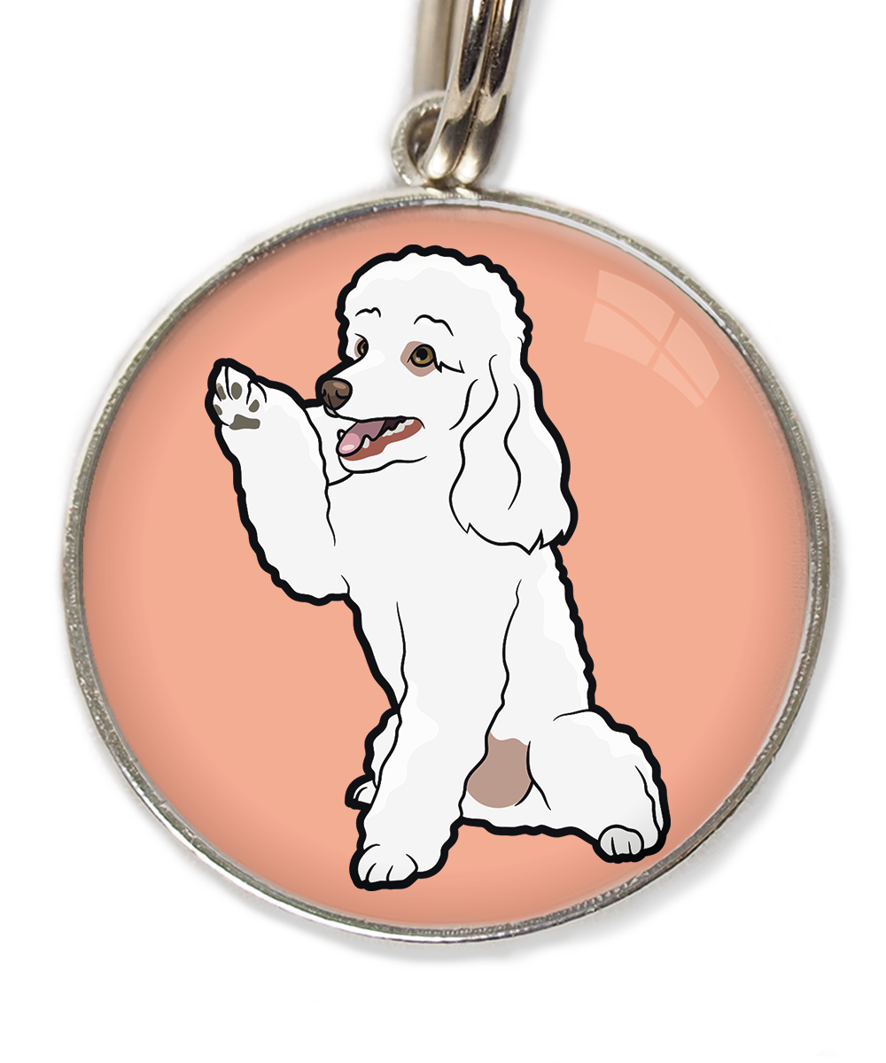 dwergpoedel-wit-geeft-pootje-huisdierpenning-peach