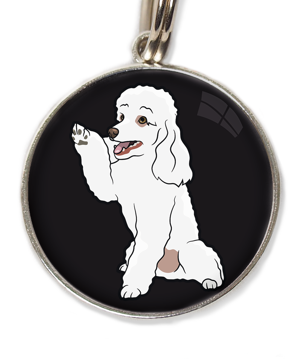 dwergpoedel-wit-geeft-pootje-huisdierpenning-zwart