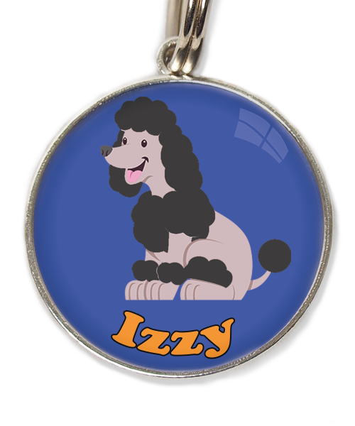 dwergpoodle-zitten-zwart-met-naam-los-huisdierpenning-blauw