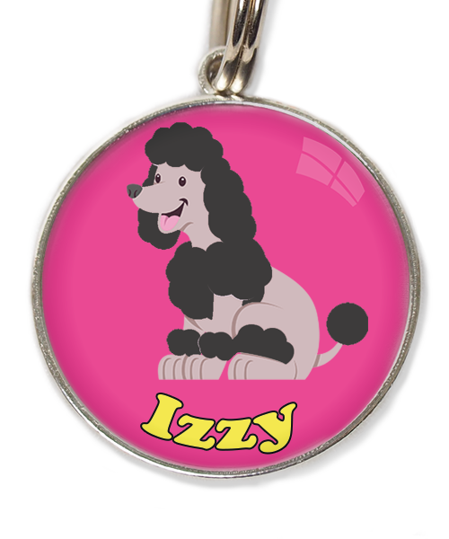 dwergpoodle-zitten-zwart-met-naam-los-huisdierpenning-fushia