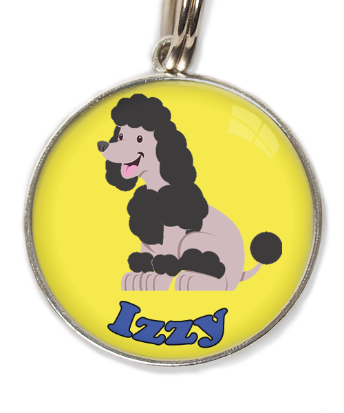 dwergpoodle-zitten-zwart-met-naam-los-huisdierpenning-geel