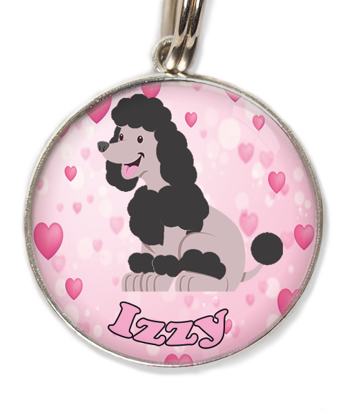dwergpoodle-zitten-zwart-met-naam-los-huisdierpenning-hartjes