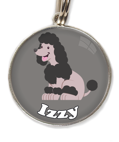 dwergpoodle-zitten-zwart-met-naam-los-huisdierpenning-lichtgrijs